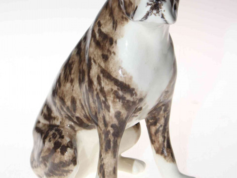 Winstanley Bridle Boxer Dog, size 6.