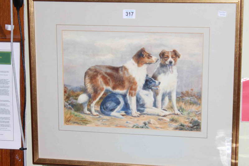 E.M. Alderson, 1927, watercolour of Group of Three Collie Dogs, 25cm by 36cm, card mounted and framed.