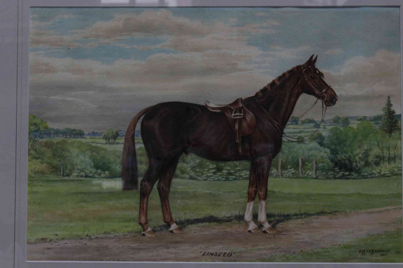 D.M. & E.M. Alderson, 1960, 'Linseed', watercolour portrait of saddled horse in landscape, 36cm by 53cm, card mount and framed.