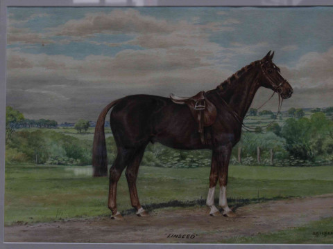 D.M. & E.M. Alderson, 1960, 'Linseed', watercolour portrait of saddled horse in landscape, 36cm by 53cm, card mount and framed. thumbnail