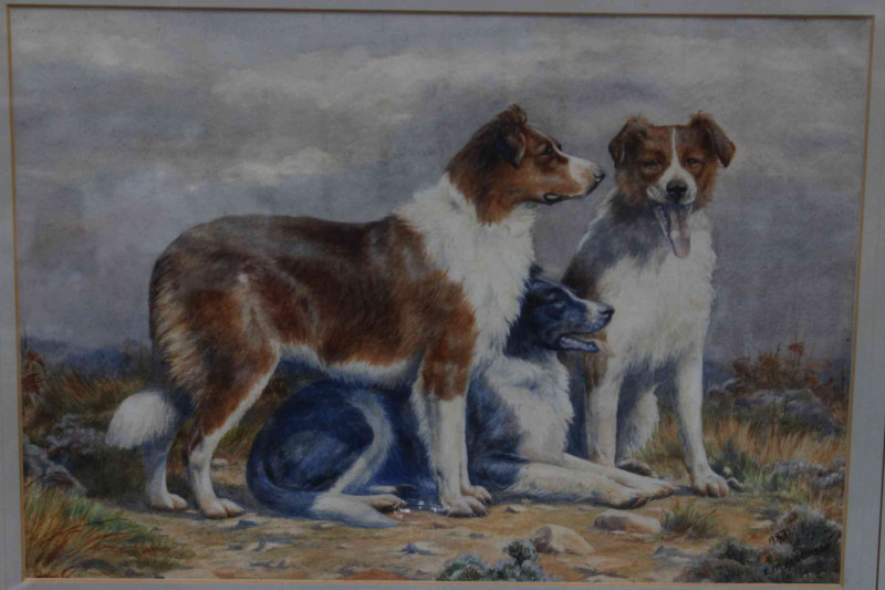 E.M. Alderson, 1927, watercolour of Group of Three Collie Dogs, 25cm by 36cm, card mounted and framed.