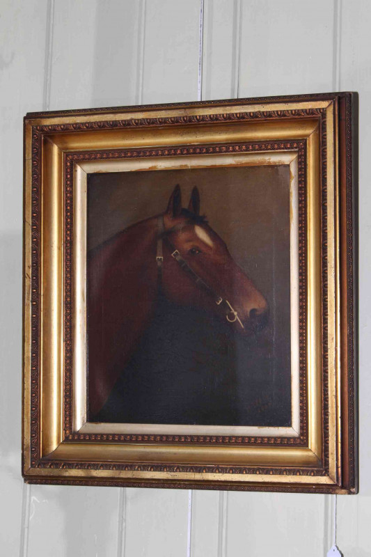 R. Slack, Horse Study, oil on canvas, signed and dated 1907 lower right, 35cm by 29cm, in gilt frame.