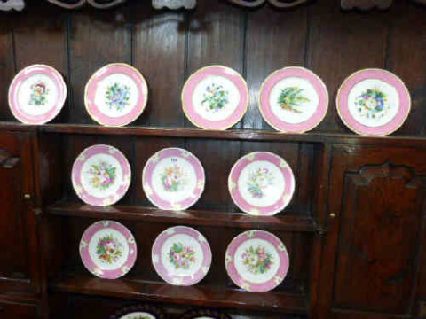 Eleven Floral Decorated Porcelain Plates