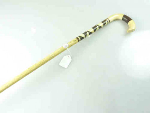 Cane