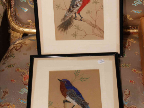 Pair watercolour and feather bird pictures in glazed frames, 32cm by 27cm...