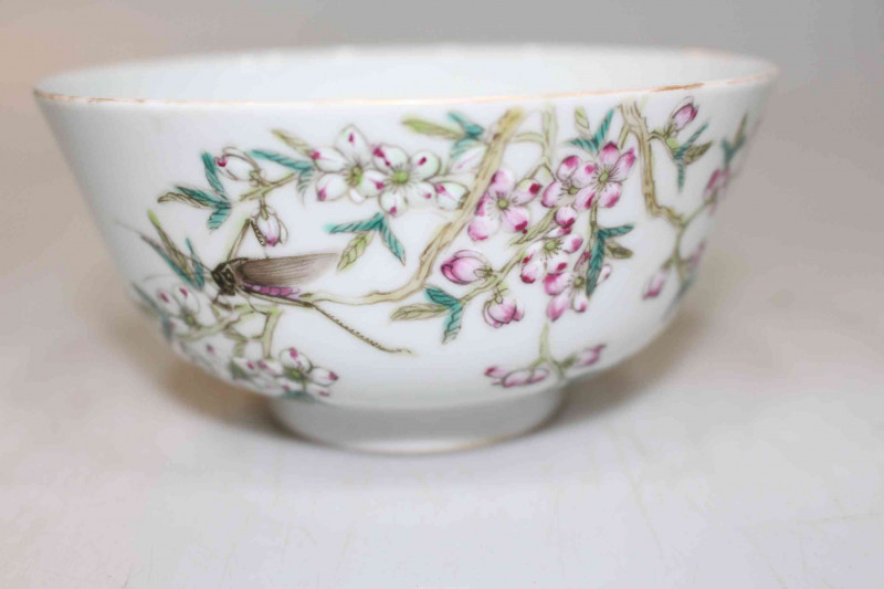 Pair Chinese Famille Rose cricket bowls, overglaze iron red four character mark (Hongxian), 11.5cm diameter with stands.