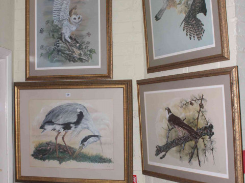 Pauline Berkeley six framed limited edition ornithological prints.