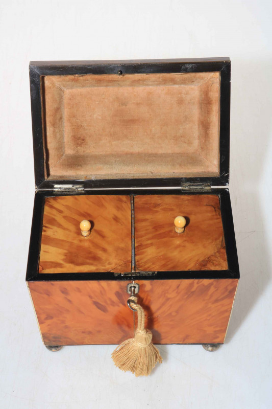 19th Century tortoiseshell twin compartment tea caddy on bun feet.