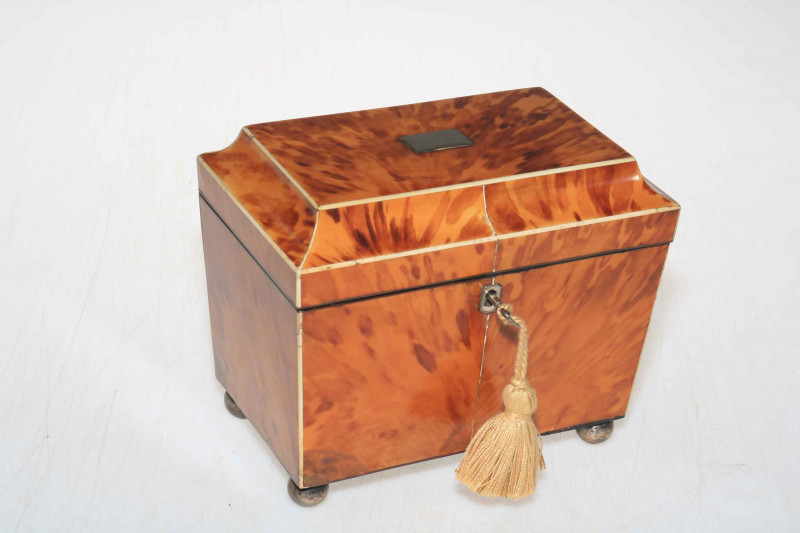 19th Century tortoiseshell twin compartment tea caddy on bun feet.