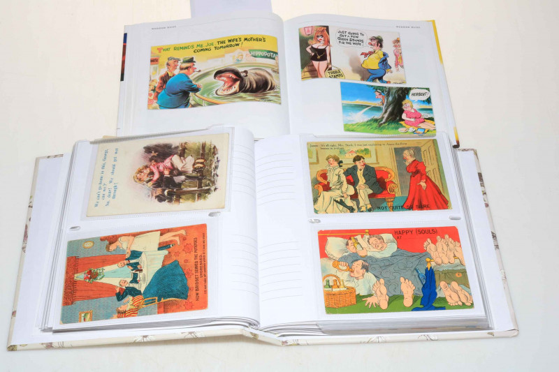 Collection of humorous seaside and artist signed postcards including saucy postcards book of the Bamforth collection.