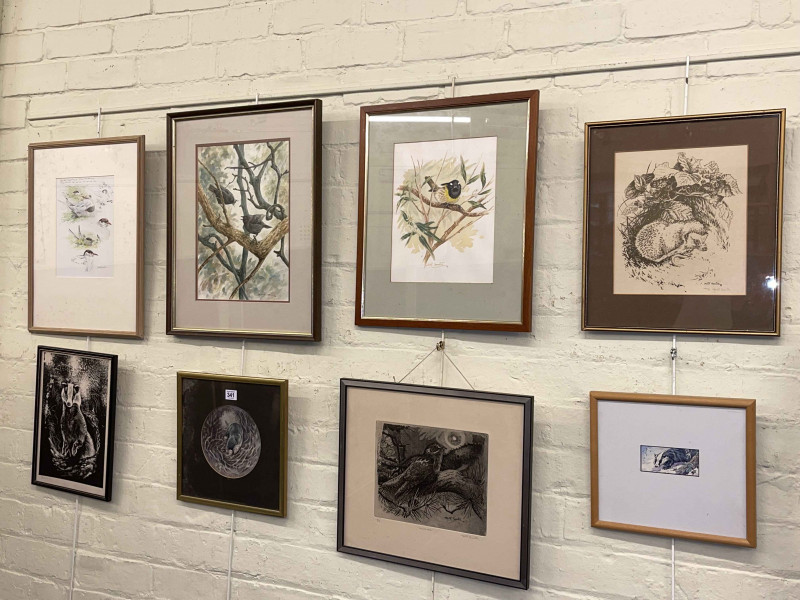 Collection of eight framed David Cemmick watercolours and prints including birds and wildlife.