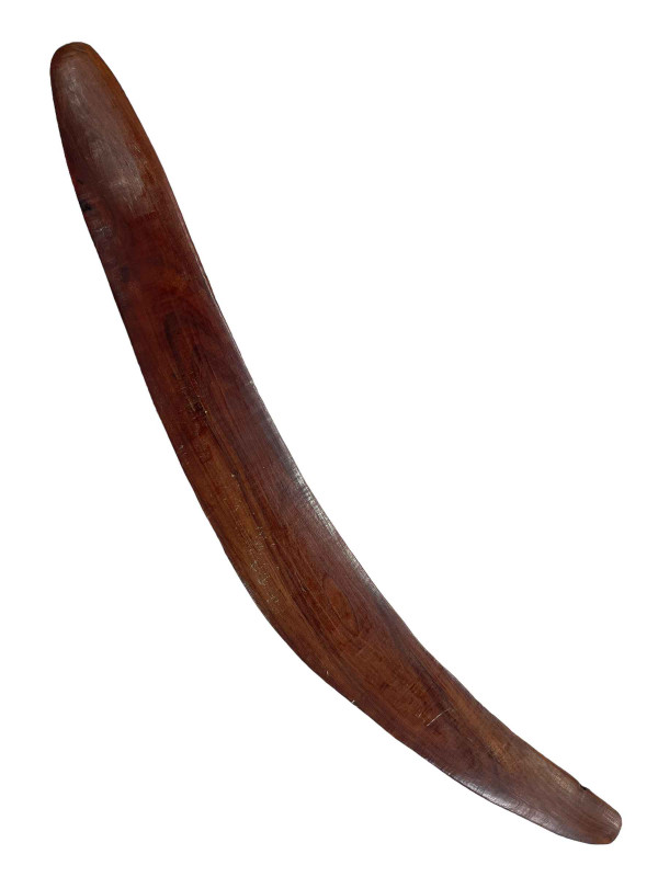 Australian boomerang with carved aquatic creatures and pattern, 64cm length, early 20th Century.
