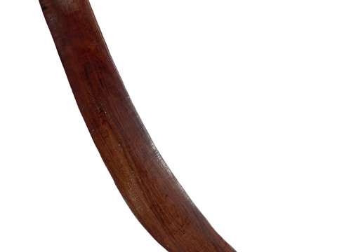 Australian boomerang with carved aquatic creatures and pattern, 64cm length, early 20th Century. thumbnail