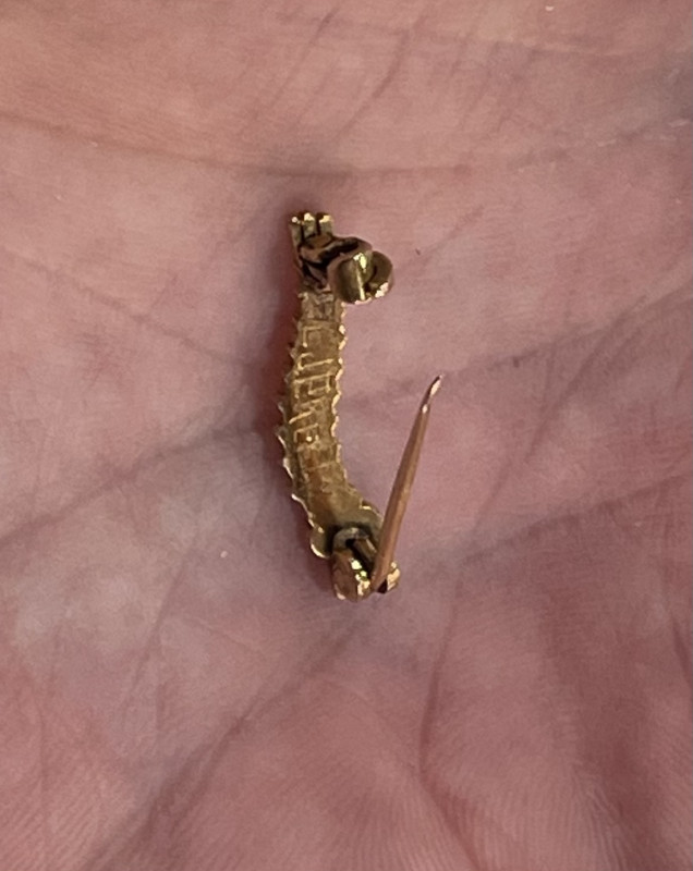 A WWII caterpillar club brooch in gold?, ruby/garnet cabochon set eyes, engraved to the reverse 'P/L. J. P. KELLY', with a secured pin clasp. Pilot unknown, no such record. No certificate.
