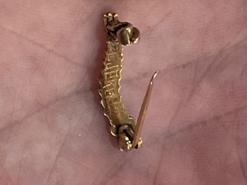 A WWII caterpillar club brooch in gold?, ruby/garnet cabochon set eyes, engraved to the reverse 'P/L. J. P. KELLY', with a secured pin clasp. Pilot unknown, no such record. No certificate. thumbnail