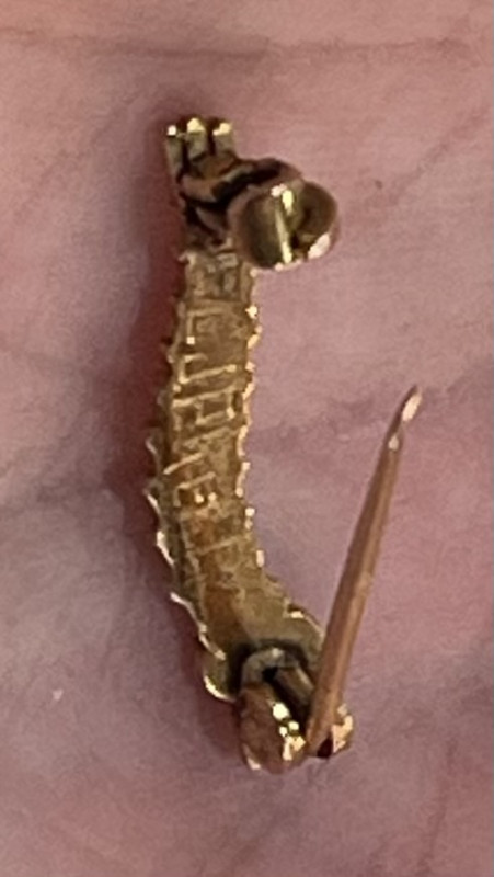 A WWII caterpillar club brooch in gold?, ruby/garnet cabochon set eyes, engraved to the reverse 'P/L. J. P. KELLY', with a secured pin clasp. Pilot unknown, no such record. No certificate.