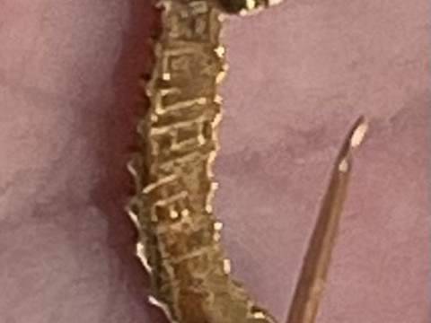 A WWII caterpillar club brooch in gold?, ruby/garnet cabochon set eyes, engraved to the reverse 'P/L. J. P. KELLY', with a secured pin clasp. Pilot unknown, no such record. No certificate. thumbnail
