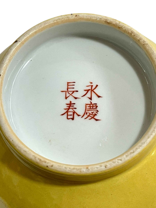 Chinese vase decorated with bird on branch on yellow ground with four character mark, 24cm.