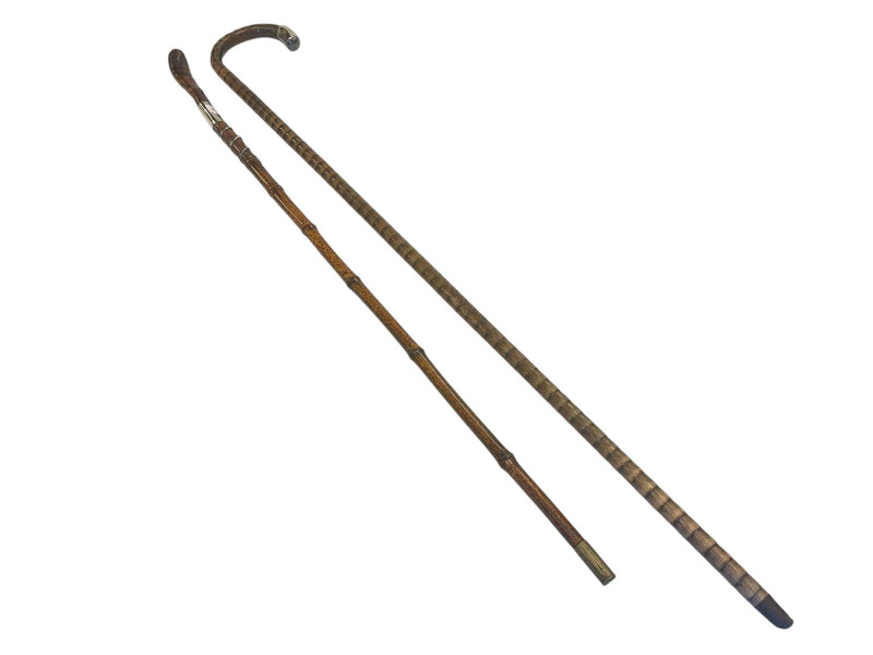 Bamboo style sword stick and a silver tipped walking stick.