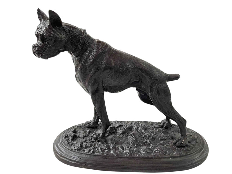 Bronze bull dog, 24.5cm.