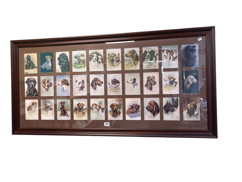 Collection of thirty coloured canine portrait prints, framed as one, 60cm by 122cm including frame.