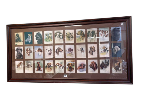 Collection of thirty coloured canine portrait prints, framed as one, 60cm...