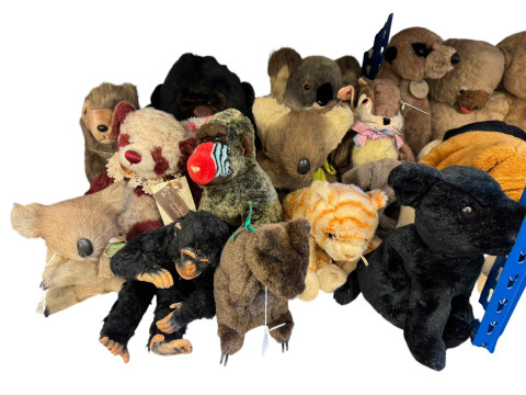Large collection of soft toys including teddies, Koalas, Apes, Ty Beanies, etc. thumbnail