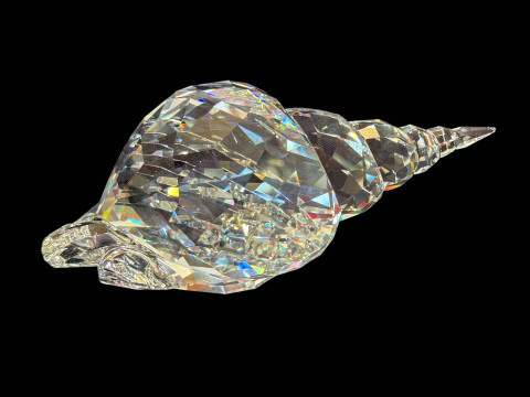 Swarovski large conch shell, 18cm length, boxed.