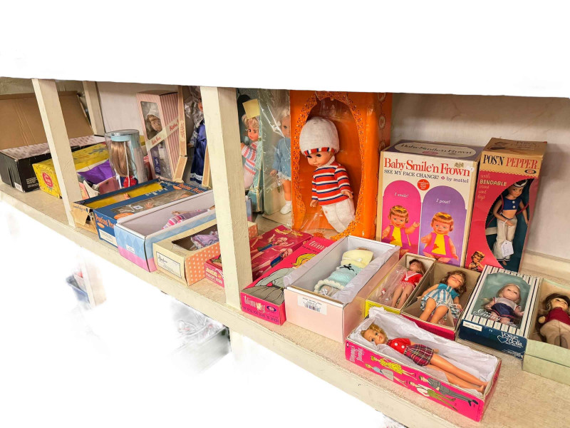 Collection of 20th Century boxed dolls including Tammy, Palitoy, The Last Mimzy, etc.