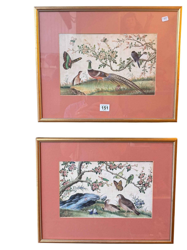Pair of good quality mid 19th Century Chinese pith paintings decorated with birds and flowers.