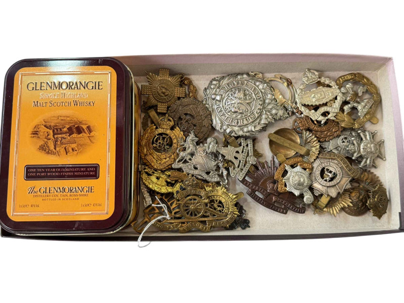 Box of military badges.