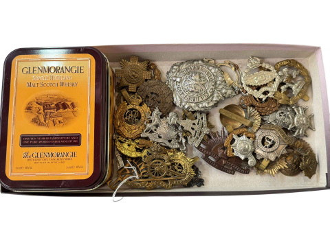 Box of military badges.