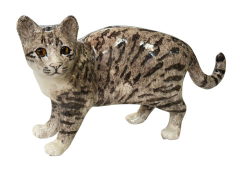 Winstanley Cat, size 8.