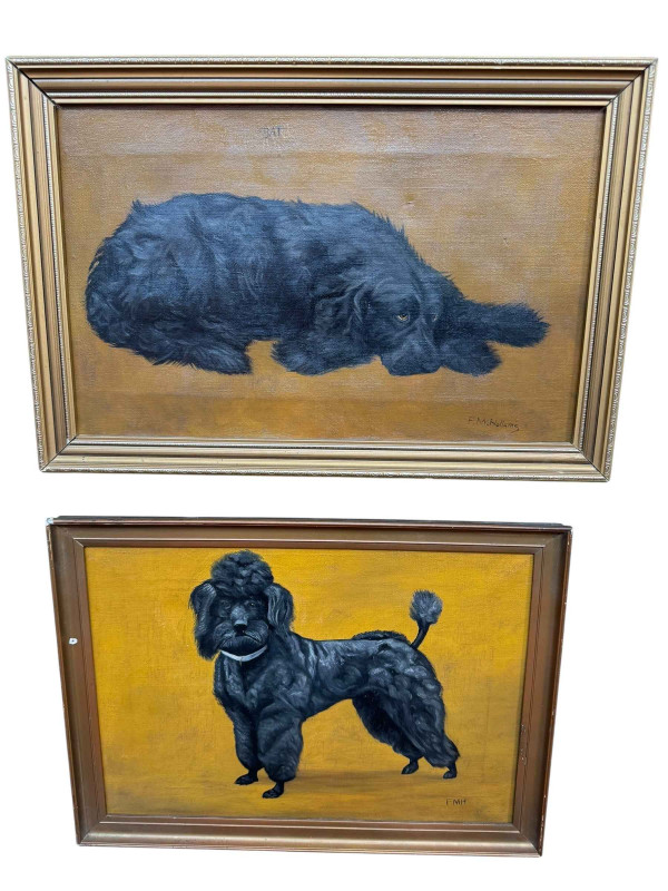 Frances Mabel Hollams (1877-1963), 'Bat' Study of a Spaniel, and Study of a Poodle, two oils on canvas, one signed and other initialled, 24.5cm by 39.5cm and 24.5cm by 34.5cm, both framed. *ARR (Artists Resale Royalty Charge) may apply to this lot*.