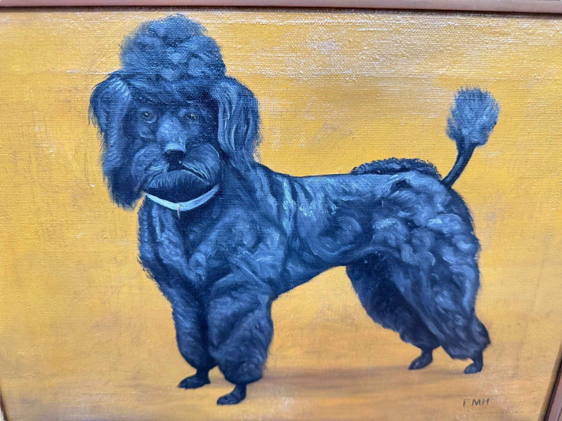 Frances Mabel Hollams (1877-1963), 'Bat' Study of a Spaniel, and Study of a Poodle, two oils on canvas, one signed and other initialled, 24.5cm by 39.5cm and 24.5cm by 34.5cm, both framed. *ARR (Artists Resale Royalty Charge) may apply to this lot*.
