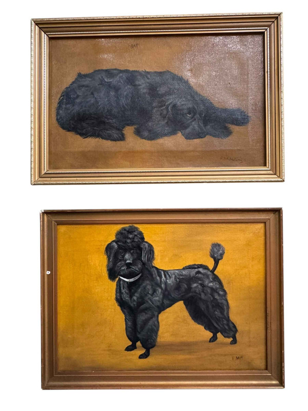 Frances Mabel Hollams (1877-1963), 'Bat' Study of a Spaniel, and Study of a Poodle, two oils on canvas, one signed and other initialled, 24.5cm by 39.5cm and 24.5cm by 34.5cm, both framed. *ARR (Artists Resale Royalty Charge) may apply to this lot*.