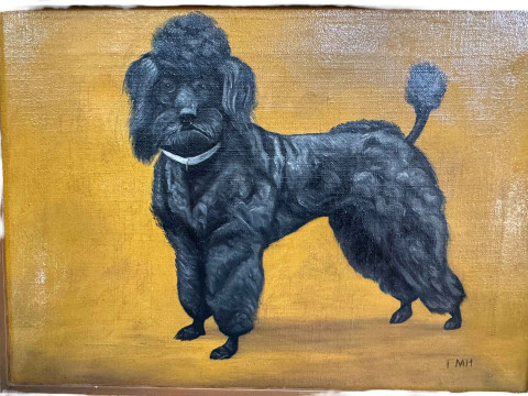 Frances Mabel Hollams (1877-1963), 'Bat' Study of a Spaniel, and Study of a Poodle, two oils on canvas, one signed and other initialled, 24.5cm by 39.5cm and 24.5cm by 34.5cm, both framed. *ARR (Artists Resale Royalty Charge) may apply to this lot*. thumbnail