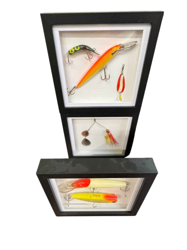 Framed novelty fishing memorabilia, fish horse brasses, etc.