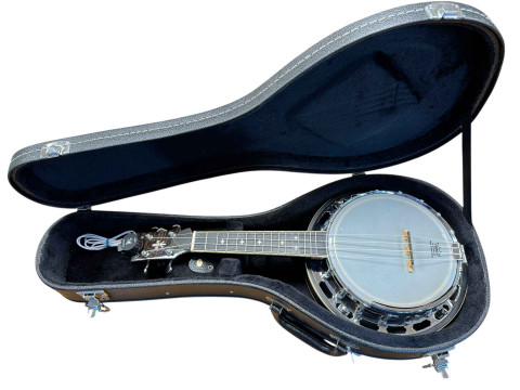 Gold tone four string ukulele in case.