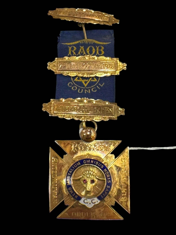 9 carat gold Buffaloes medal with three bars.