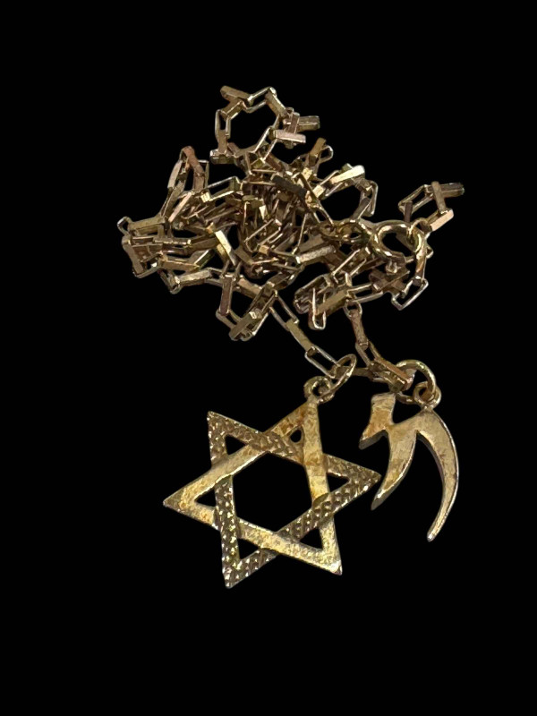 9 carat gold chain link necklace with two pendants.