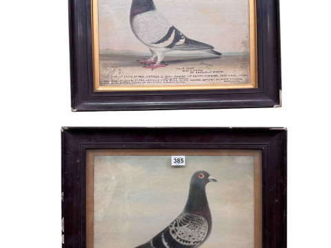 J Browne, 'Old Gits Cock' and 'True Blue', racing pigeon studies, pair...