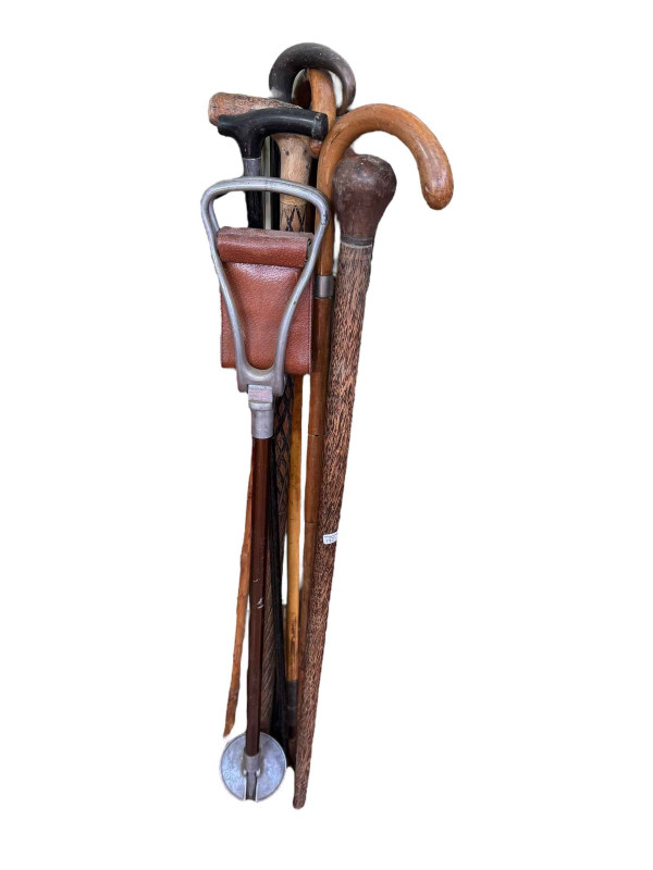 Collection of walking sticks, etc.