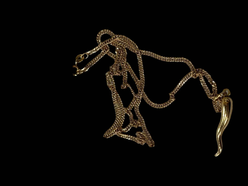 9 carat gold chilli pendant with chain.