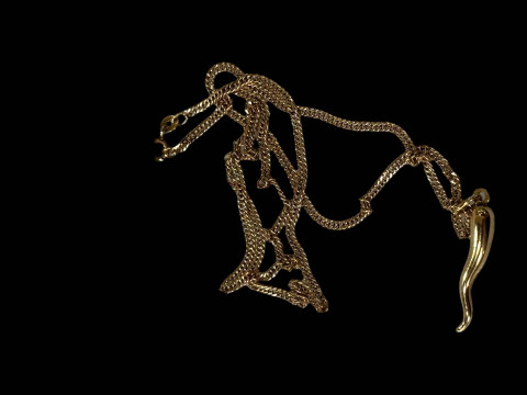 9 carat gold chilli pendant with chain.