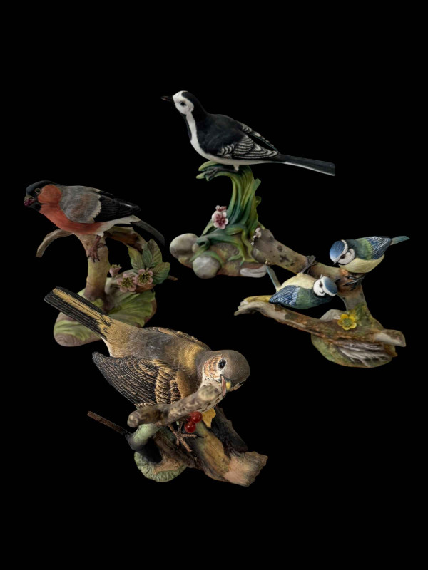 Four Coalport limited edition British Birds, Pied Wagtail, Bullfinch, Song Thrush and Blue Tits.