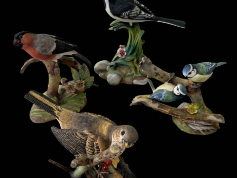 Four Coalport limited edition British Birds, Pied Wagtail, Bullfinch,...