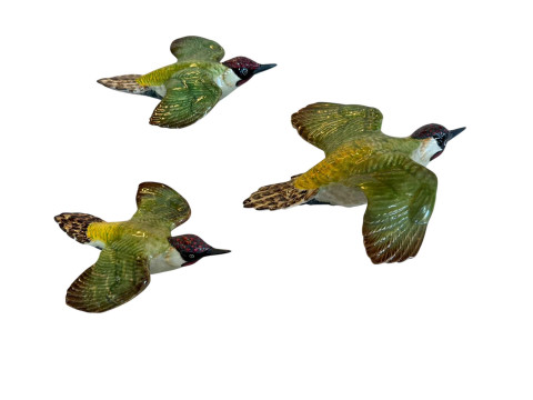 Beswick Woodpeckers in Flight (3).