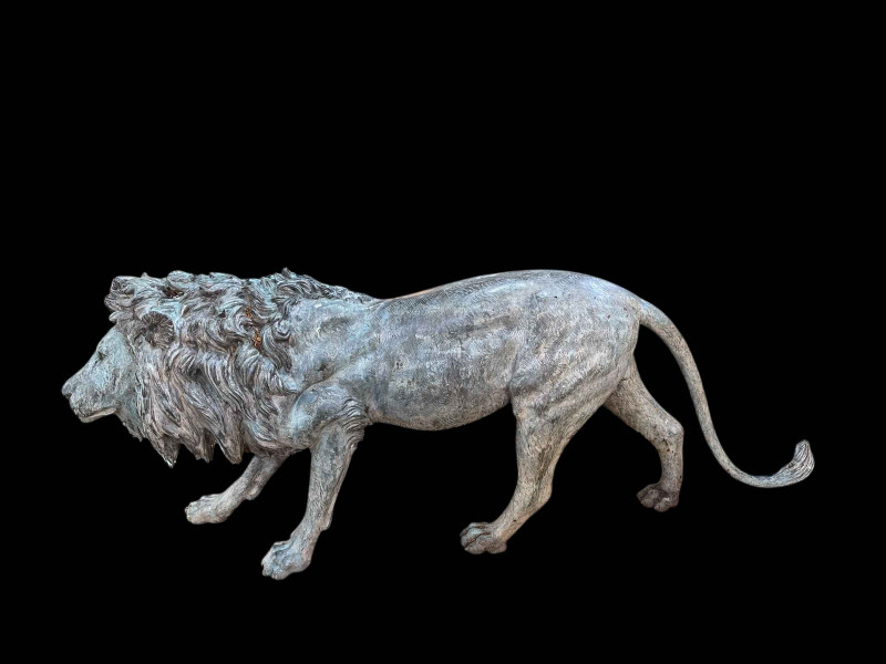 Bronze life sized model of an adult male lion standing on all fours, 97cm high, 224cm nose to tail.