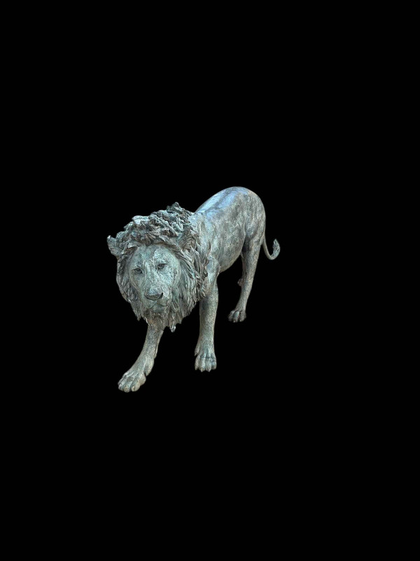 Bronze life sized model of an adult male lion standing on all fours, 97cm high, 224cm nose to tail.